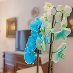 Santacecilia Apartment